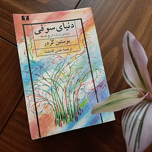 دنیای سوفی حسن کامشاد