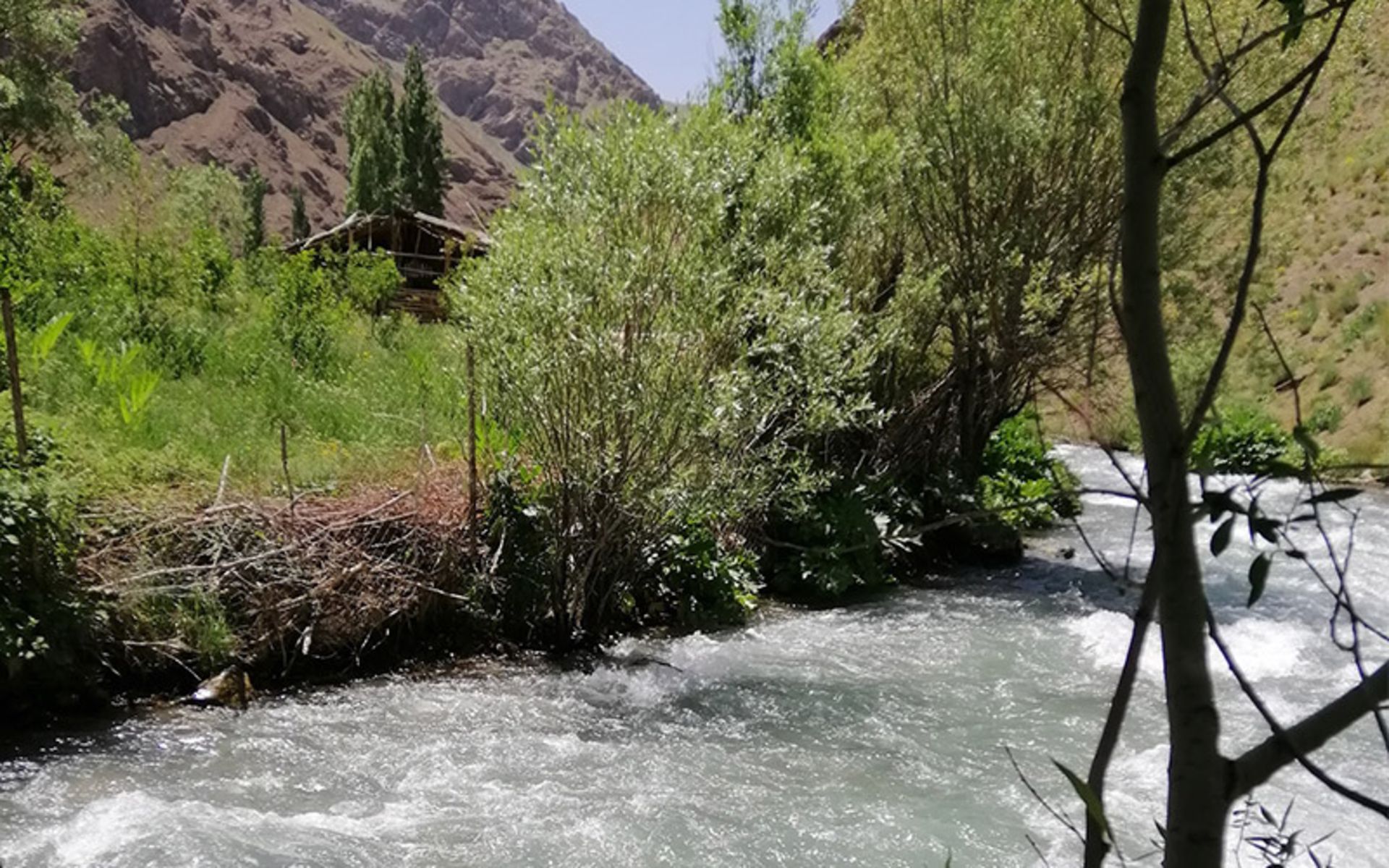 رودخانه و طبیعت سرسبز روستای وارنگه رود