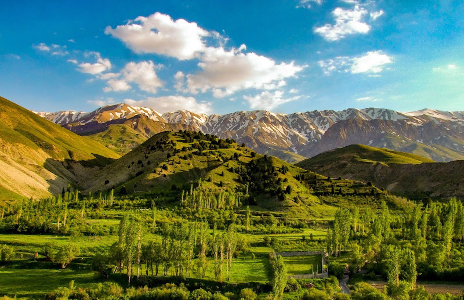 کوه ها و دشت سرسبز روستای لاسم در تابستان